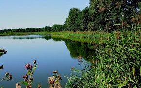 lake, nature