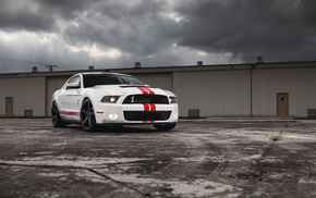 cars, Ford, mustang, white