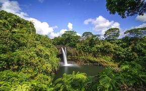 tropics, nature, waterfall