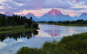 nature, morning, forest, river, mountain