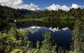 nature, forest, summer, water