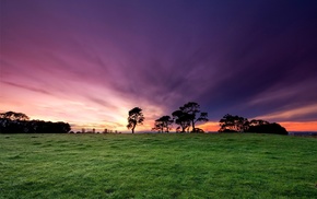 nature, grass, sky, trees, field