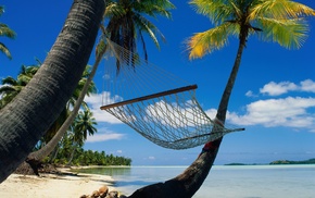 sea, nature, palm trees