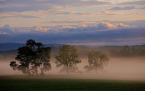 sky, clouds, trees, nature, mist