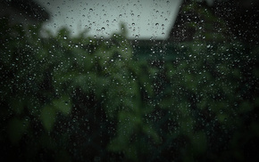 macro, drops, rain