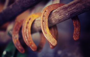 macro