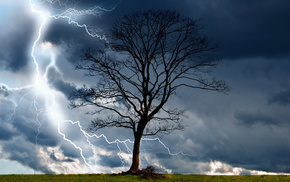 stunner, tree, nature, lightning