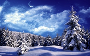 snow, winter