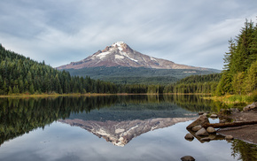 lake, nature, reflection, forest
