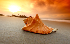 beach, macro, sea