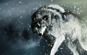 wolf, animals, snow, drawing