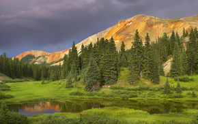 nature, trees, forest, mountain