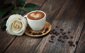 rose, stunner, coffee, foam, flower