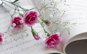 flowers, macro