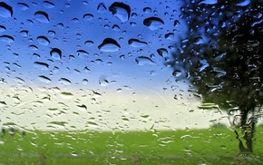 macro, drops, water