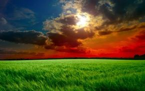 field, clouds, nature, sky, Sun