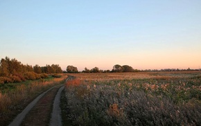 field, road, summer, sunset, nature