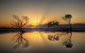 landscape, nature, trees, sunset, sky