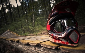 forest, nature, helmet