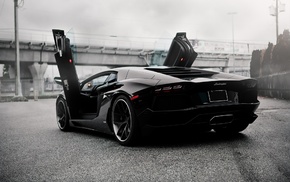 Lamborghini Aventador, cars