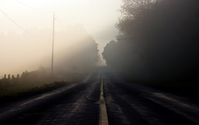 nature, morning, road, landscape, mist
