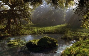 pond, 3D, water, forest, moss