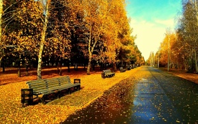 park, autumn, road, trees