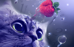 drops, cat, strawberry, creative, muzzle