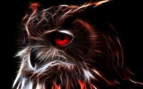 eyes, 3D, owl