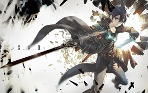 Kirigaya Kazuto, Sword Art Online