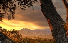 landscape, mountain, trees