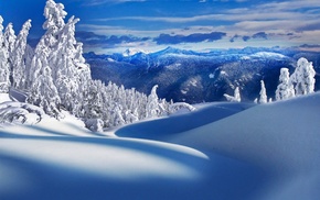 winter