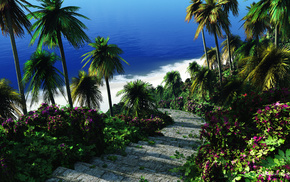sea, palm trees, beach, nature