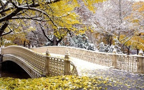 bridge, nature, snow