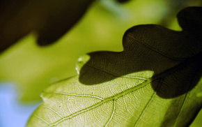 macro, sky