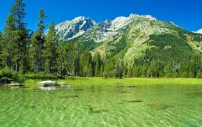 mountain, forest, nature