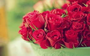 bouquet, flowers, roses