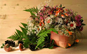cones, basket, leaves, flowers