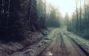 nature, road, forest, landscape, dirty, trees