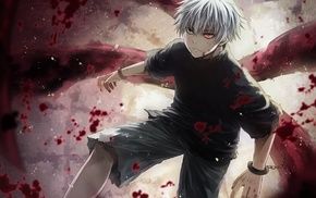 Kaneki Ken, Tokyo Ghoul