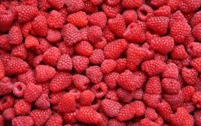 food, delicious, berries