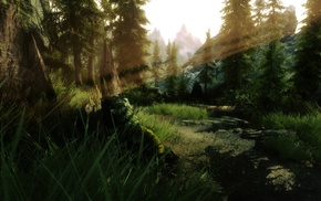 The Elder Scrolls V Skyrim