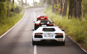 Lamborghini Aventador, cars