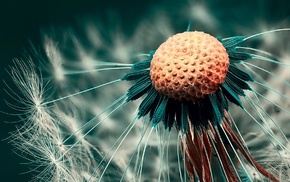 macro