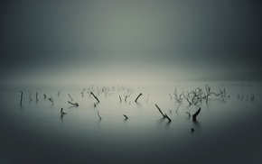 monochrome, lake, water, mist, overcast, branch