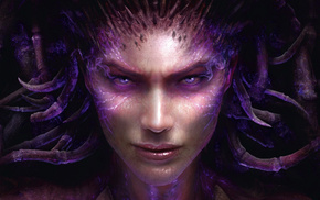 face, StarCraft, video games