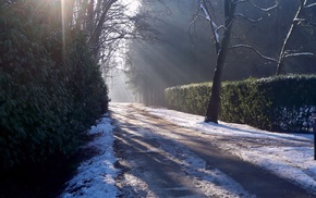 light, ice, road, winter, snow