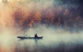 forest, boat, mist