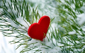 heart, snow, macro