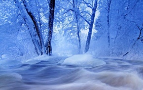 winter, snow, trees